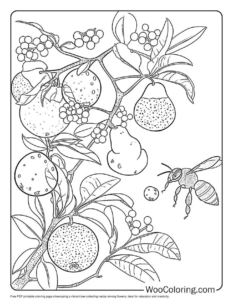 Nature's Bounty Coloring Sheet