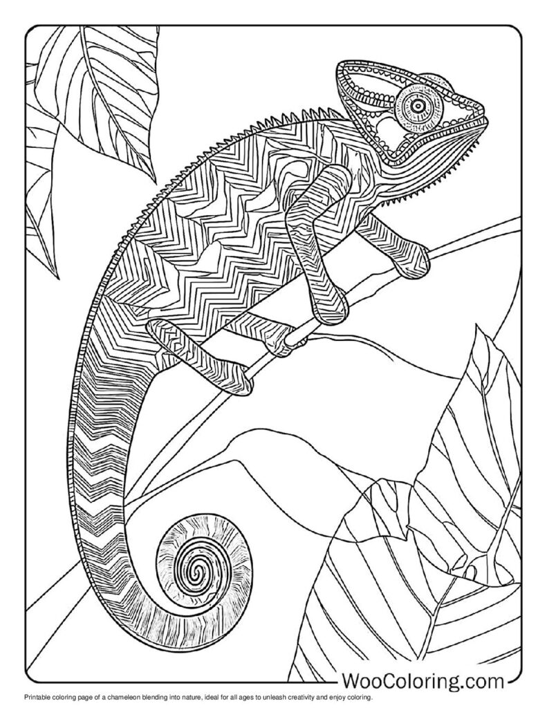 100  Chameleon coloring pages  Free PDF To Print  - 97
