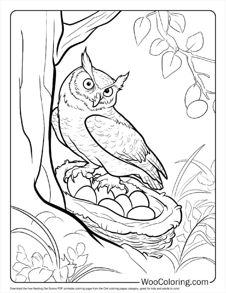 100  Owl coloring pages  Free PDF To Print  - 61
