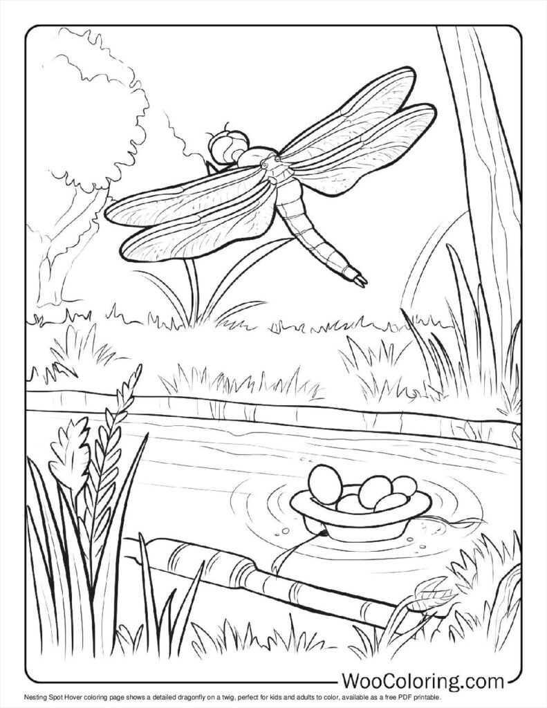 100  Dragonfly coloring pages  Free PDF To Print  - 53