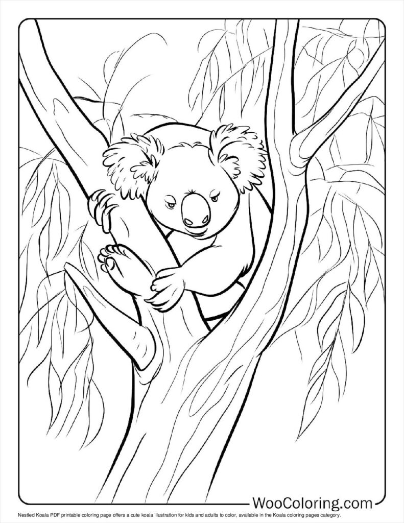 100  Koala coloring pages  Free PDF To Print  - 10