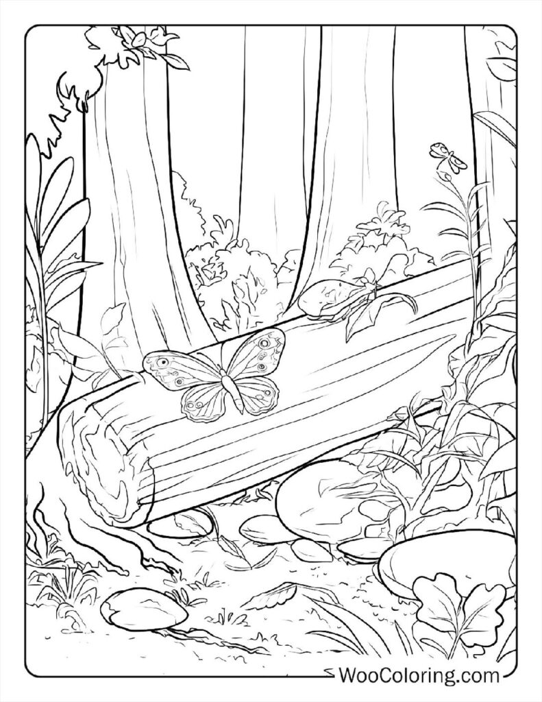 100  Butterfly coloring pages  Free PDF To Print  - 72