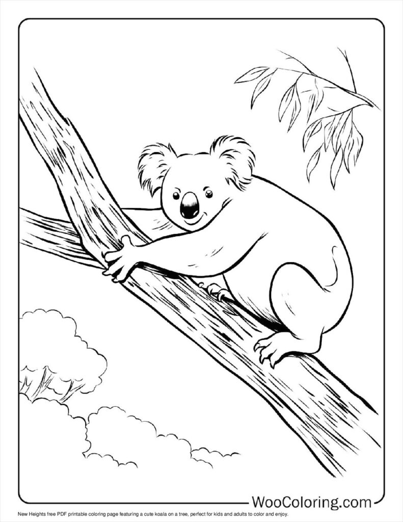 100  Koala coloring pages  Free PDF To Print  - 32