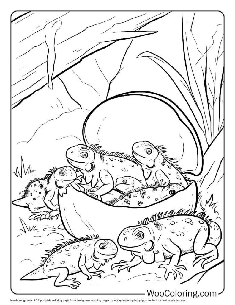 100 Iguana coloring pages Free PDF To Print - 69