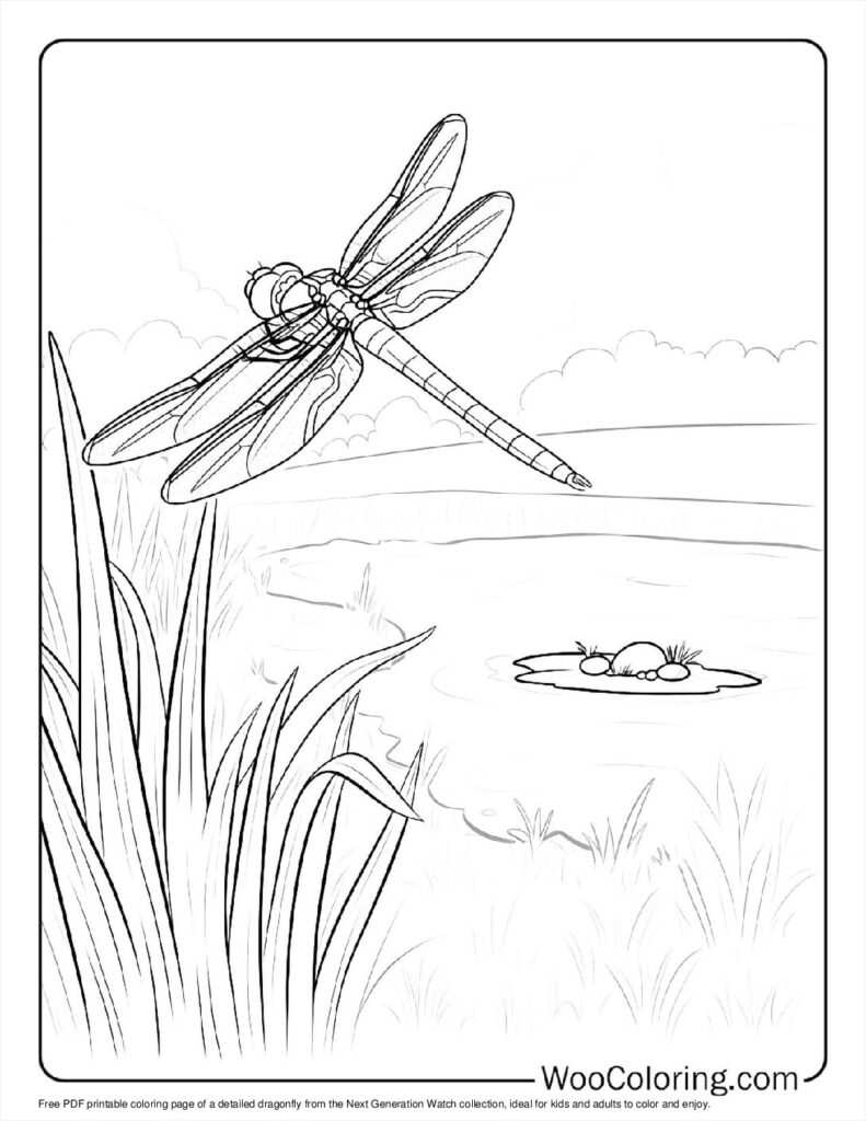 100  Dragonfly coloring pages  Free PDF To Print  - 50