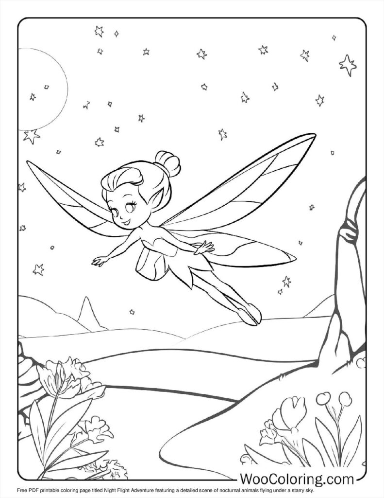 Night Flight Adventure To Color