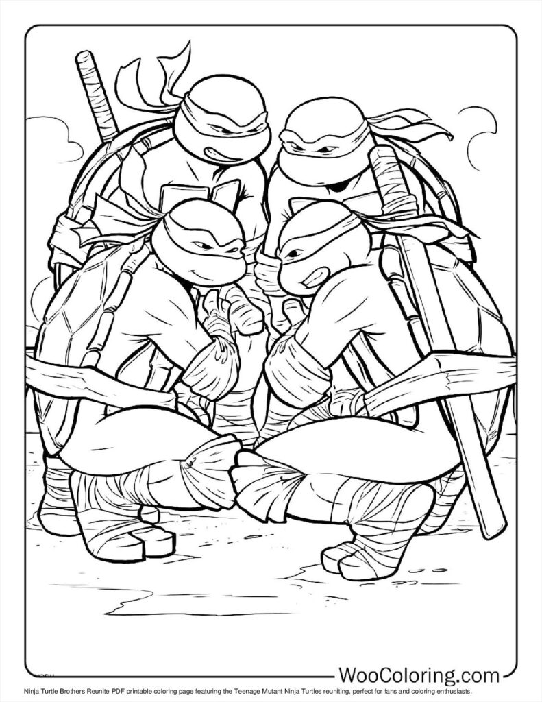 Ninja Turtle Brothers Reunite