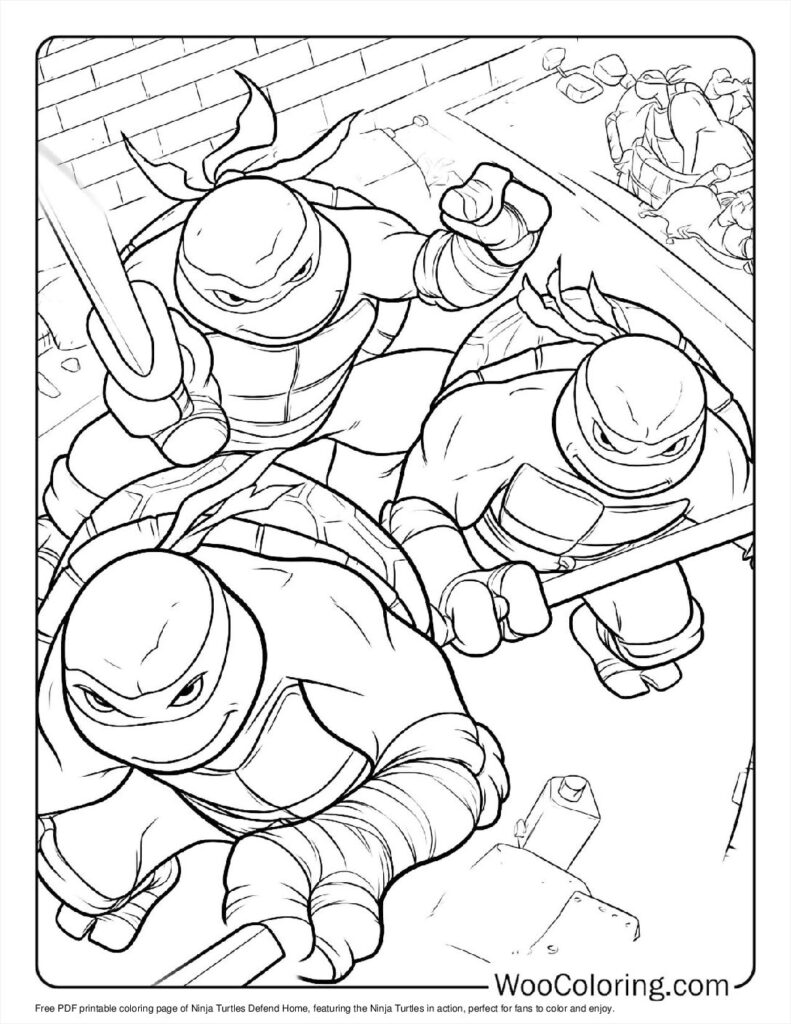 Ninja Turtles Defend Home