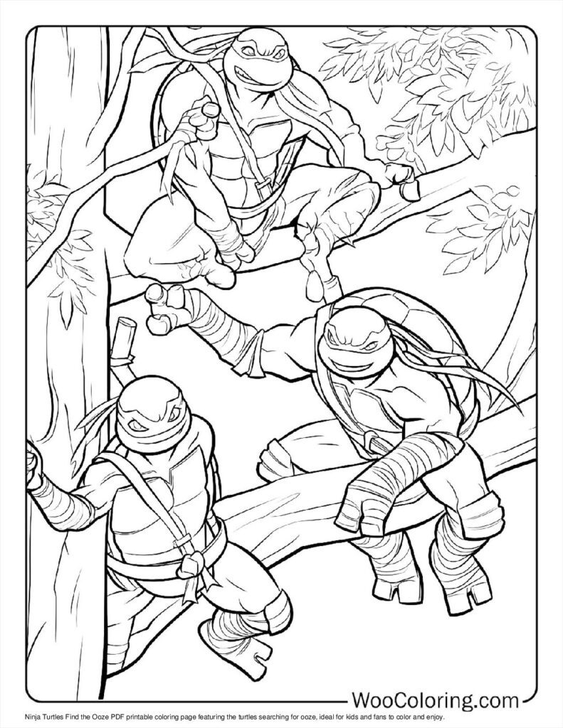 Ninja Turtles Find the Ooze
