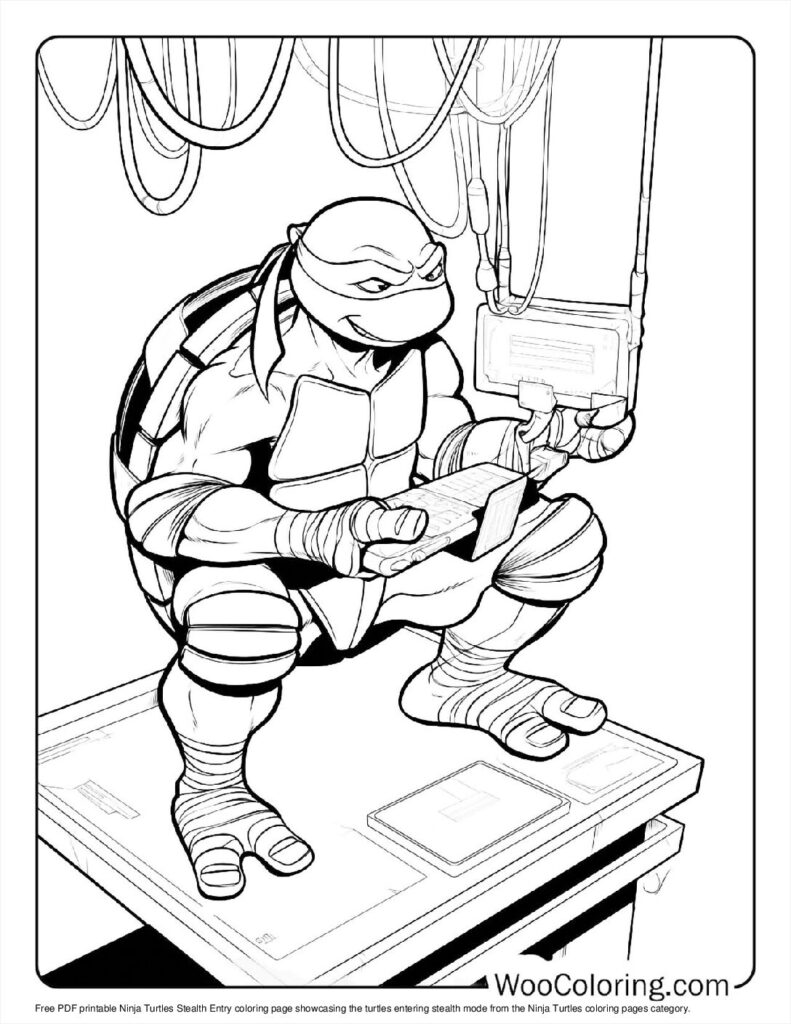 Ninja Turtles' Stealth Entry