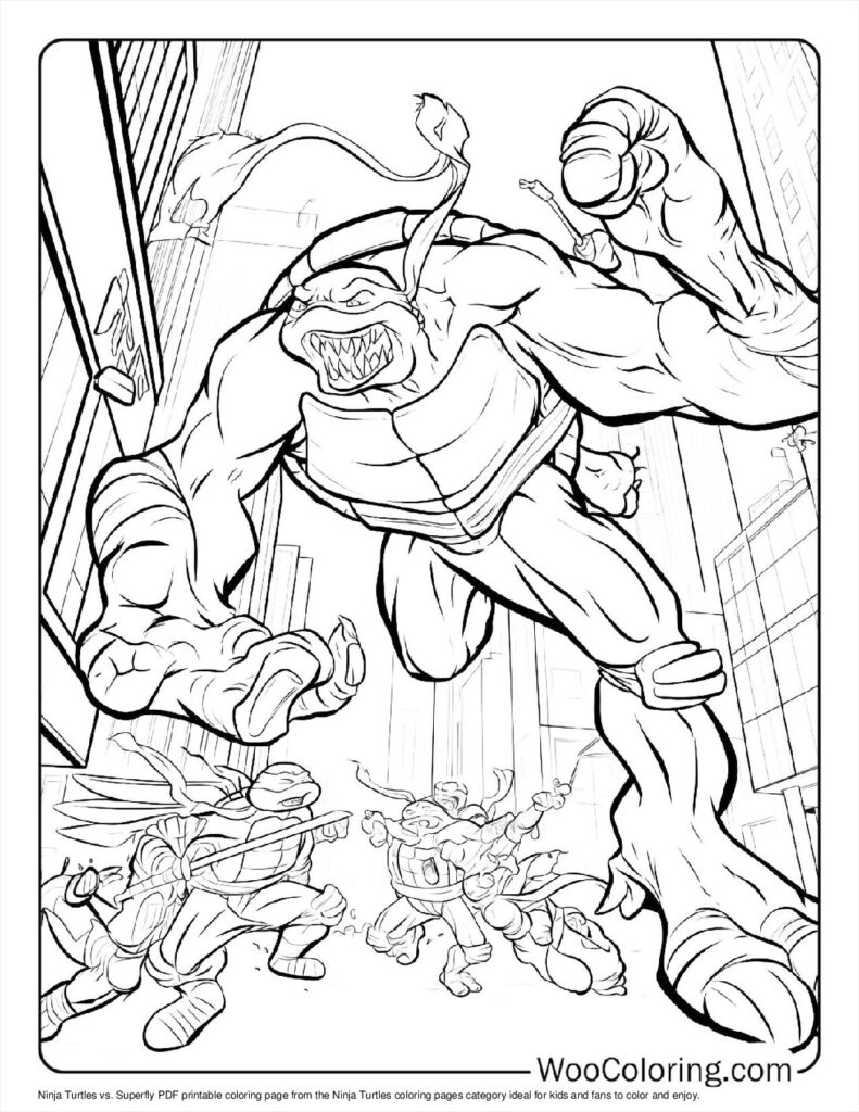 Ninja Turtles vs. Superfly