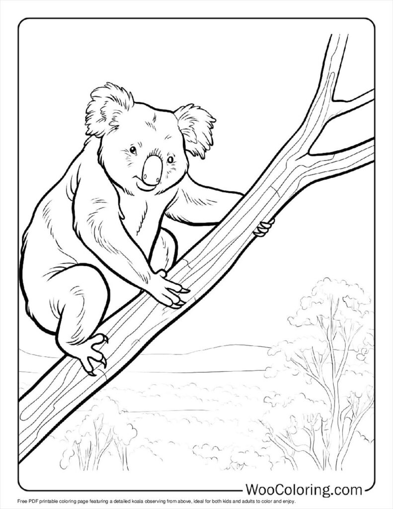 100  Koala coloring pages  Free PDF To Print  - 56