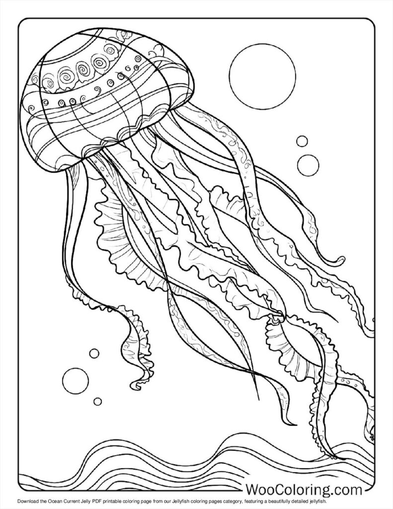 100  Jellyfish coloring pages  Free PDF To Print  - 16