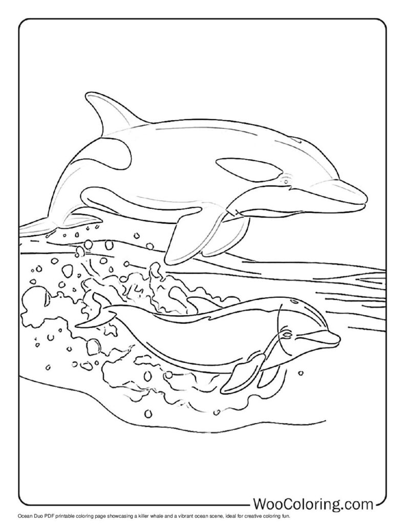 100  Killer Whale coloring pages  Free PDF To Print  - 41