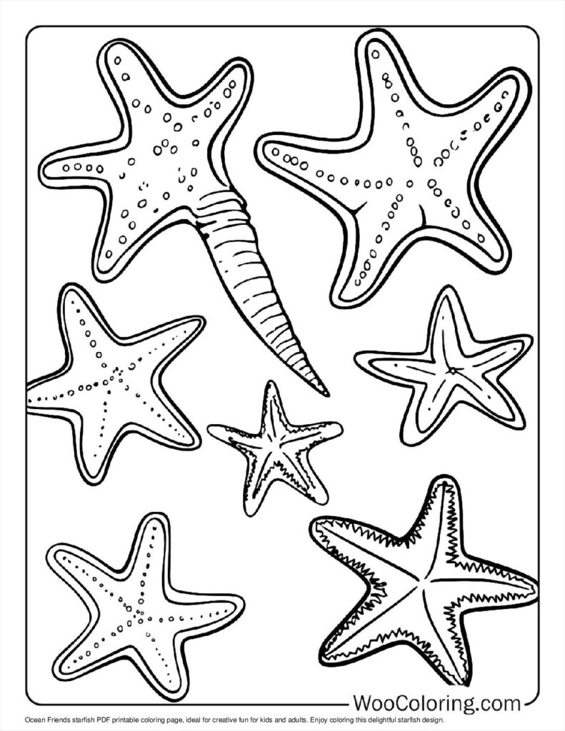 100  Starfish coloring pages  Free PDF To Print  - 30