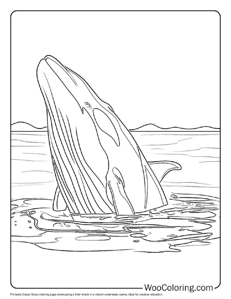 100  Killer Whale coloring pages  Free PDF To Print  - 25