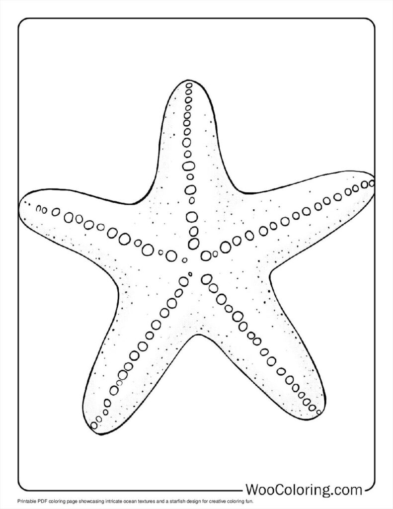 100  Starfish coloring pages  Free PDF To Print  - 38