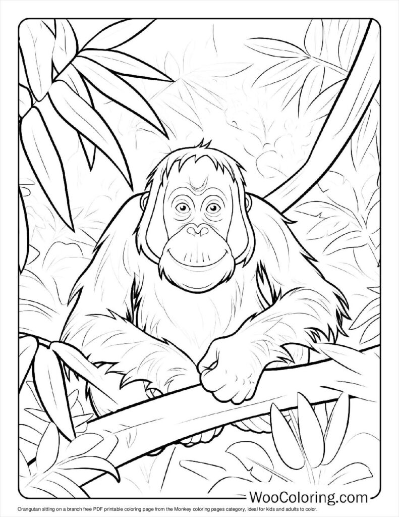 100  Monkey coloring pages  Free PDF To Print  - 82