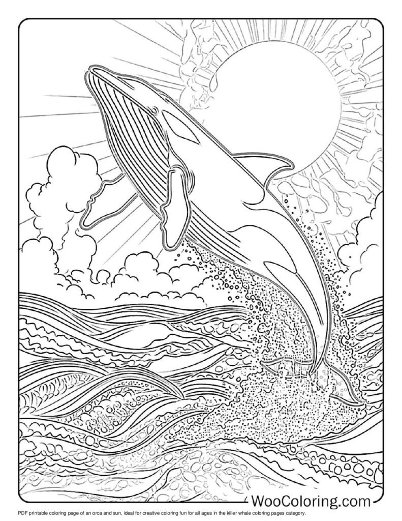 100  Killer Whale coloring pages  Free PDF To Print  - 55