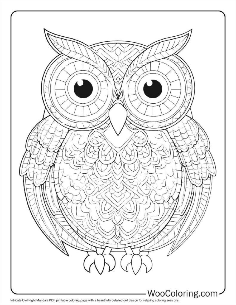Owl Night Mandala