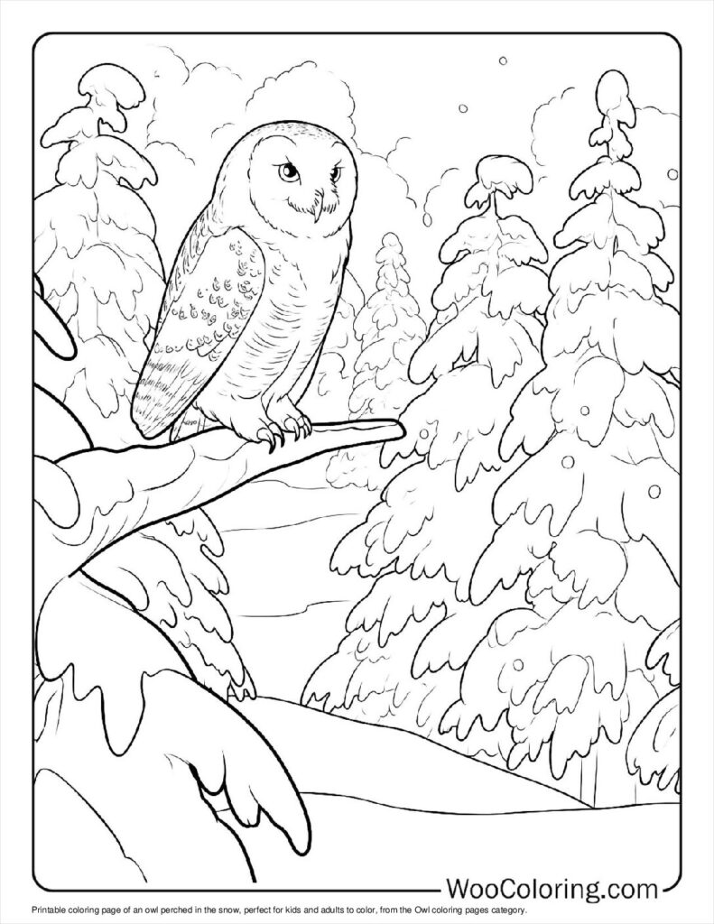 100  Owl coloring pages  Free PDF To Print  - 3