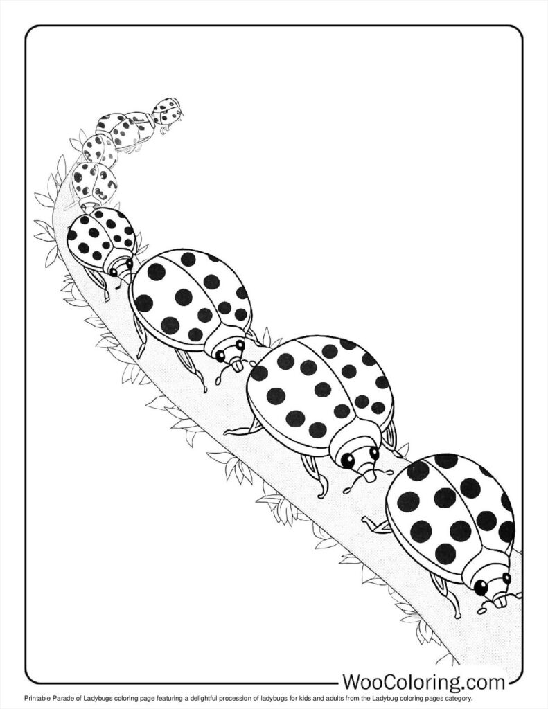 100  Ladybug coloring pages  Free PDF To Print  - 77