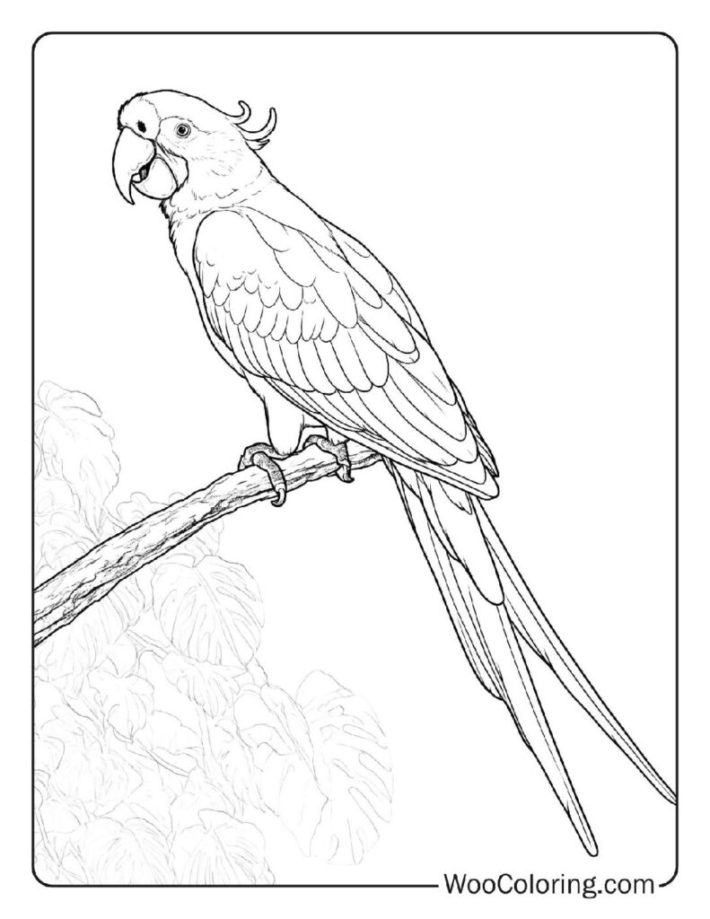 Free Pdf Python For Kids