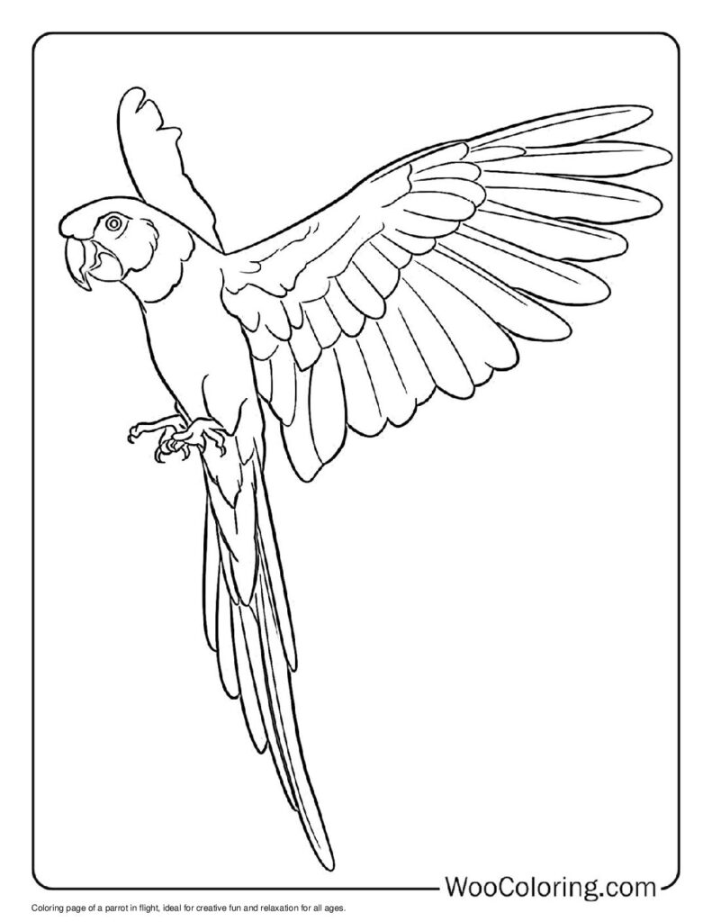 100  Parrot coloring pages  Free PDF To Print  - 79