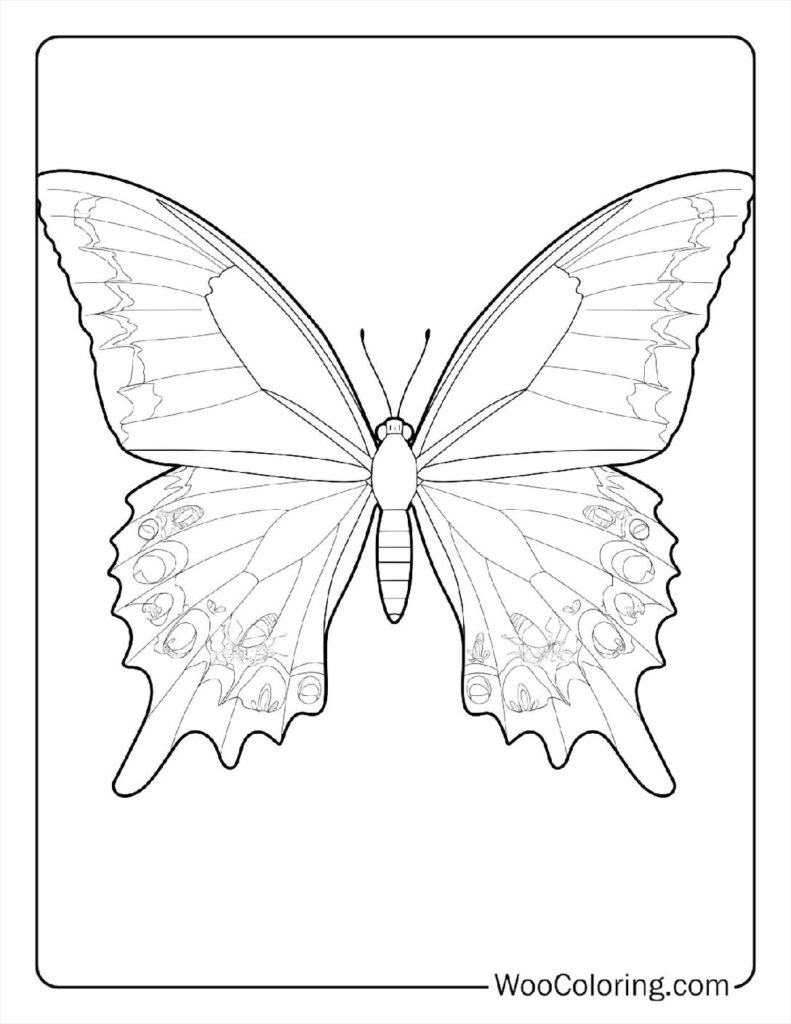 100+ Butterfly coloring pages (Free PDF To Print) | Woo Coloring, image size:791x1024