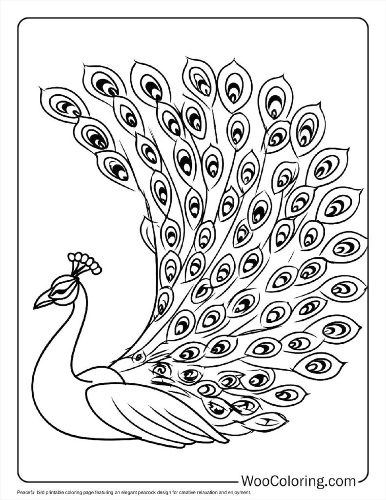 100  Peacock coloring pages  Free PDF To Print  - 53