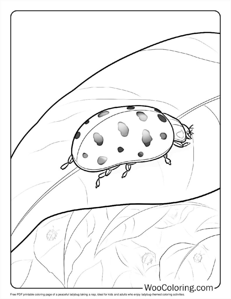 100  Ladybug coloring pages  Free PDF To Print  - 91
