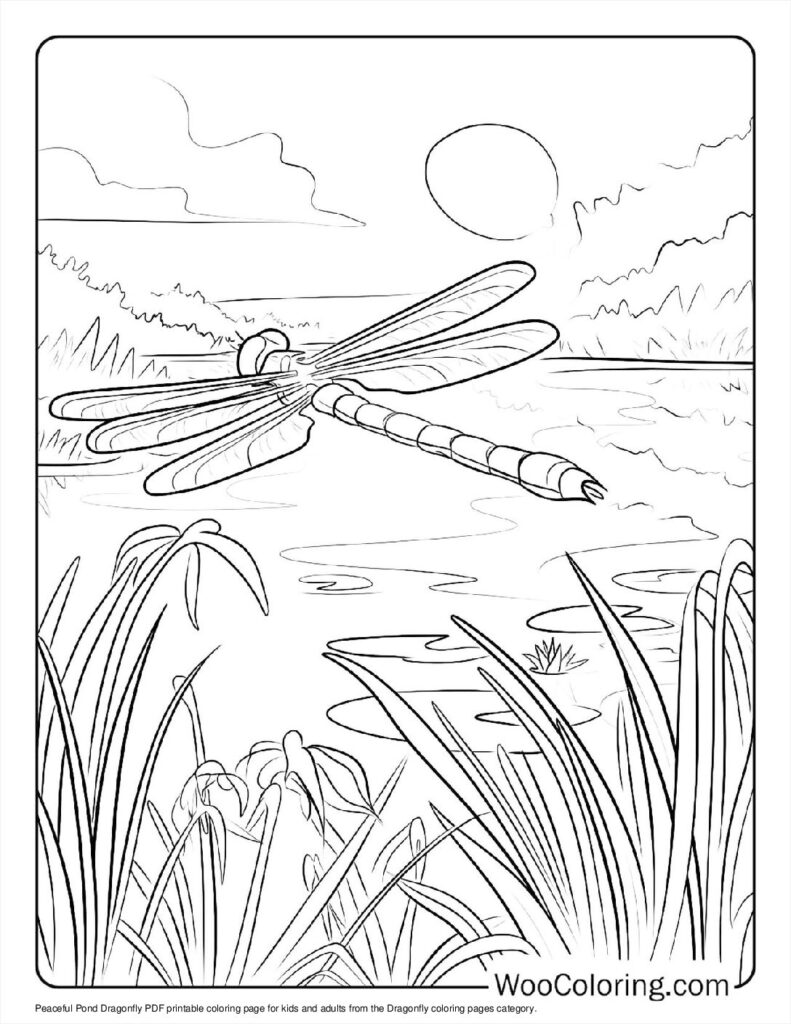 100  Dragonfly coloring pages  Free PDF To Print  - 41