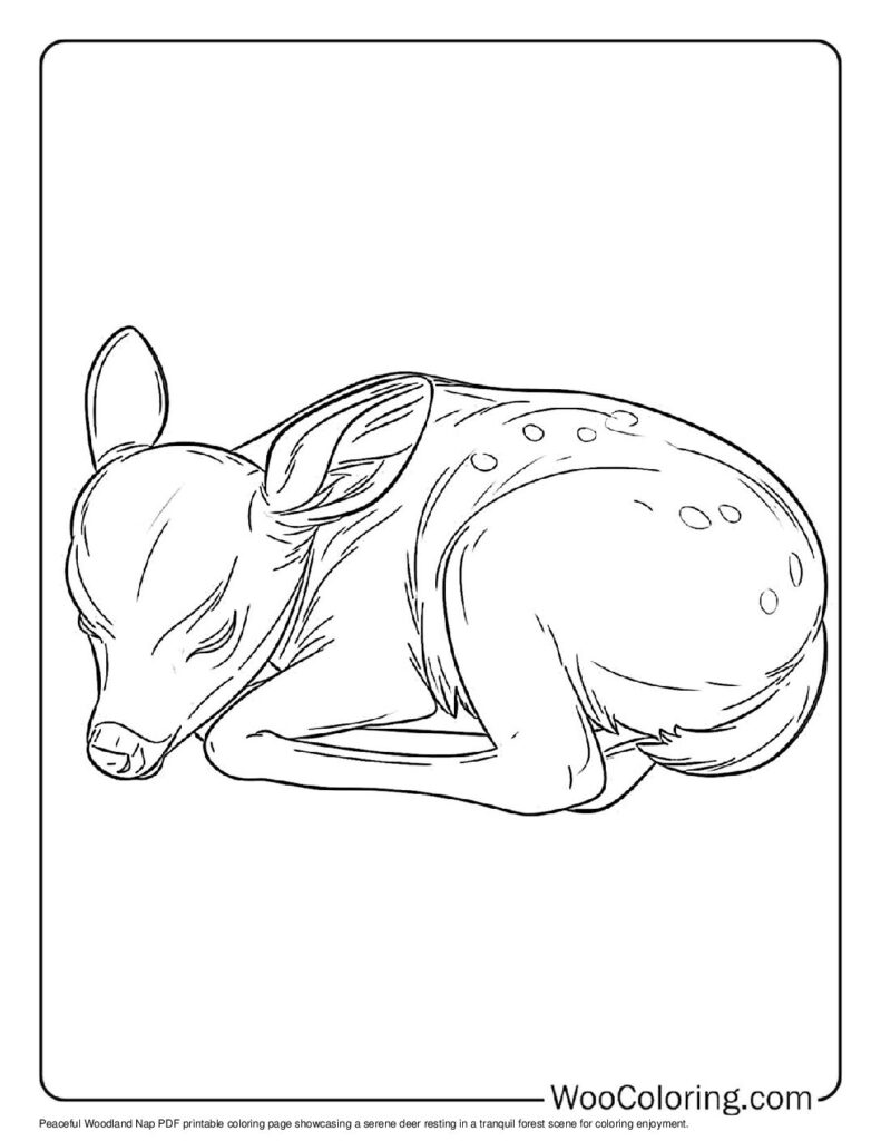 100  Deer coloring pages  Free PDF To Print  - 91