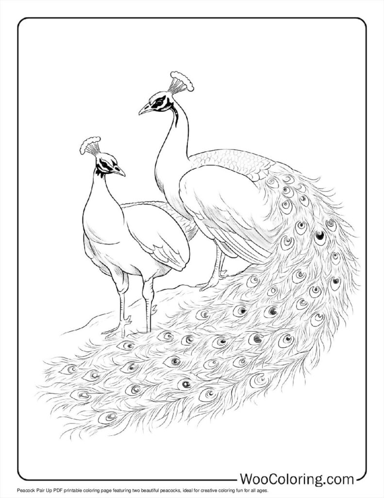 100  Peacock coloring pages  Free PDF To Print  - 9