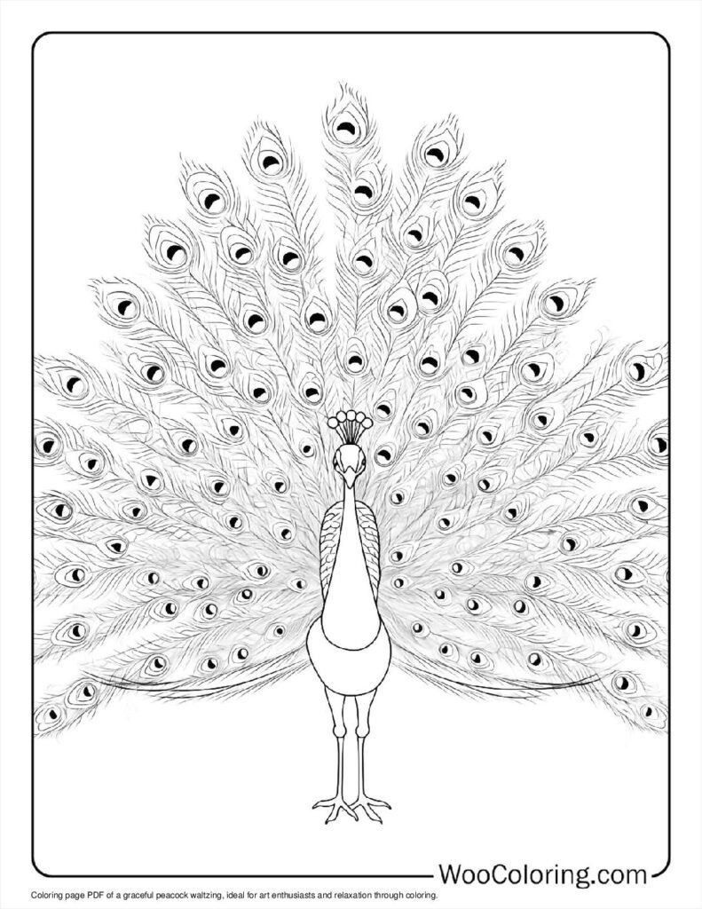 100  Peacock coloring pages  Free PDF To Print  - 86