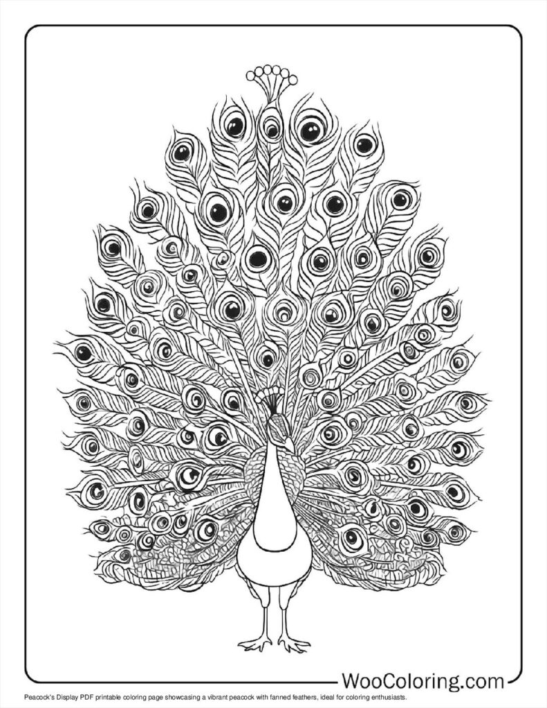 100  Peacock coloring pages  Free PDF To Print  - 77