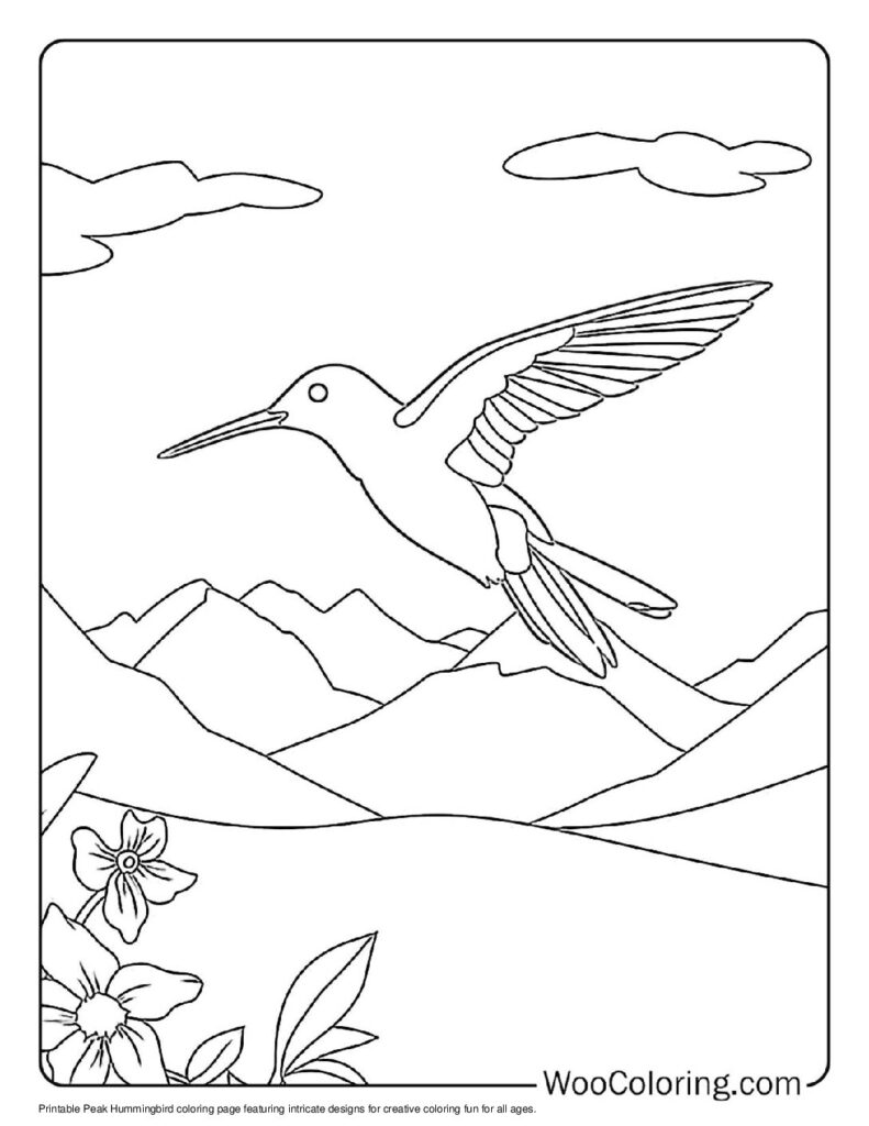 100 Hummingbird coloring pages Free PDF To Print - 11