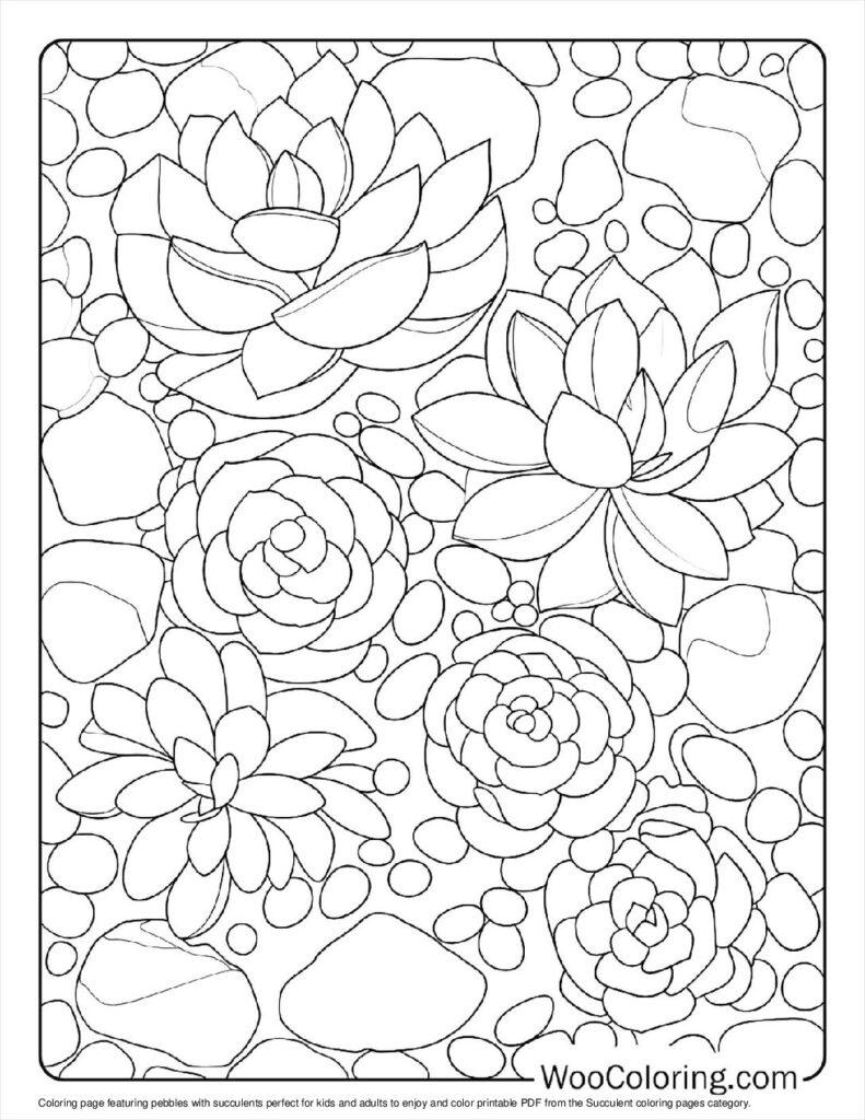 100  Succulent coloring pages  Free PDF To Print  - 1
