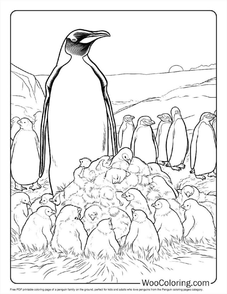 100  Penguin coloring pages  Free PDF To Print  - 9