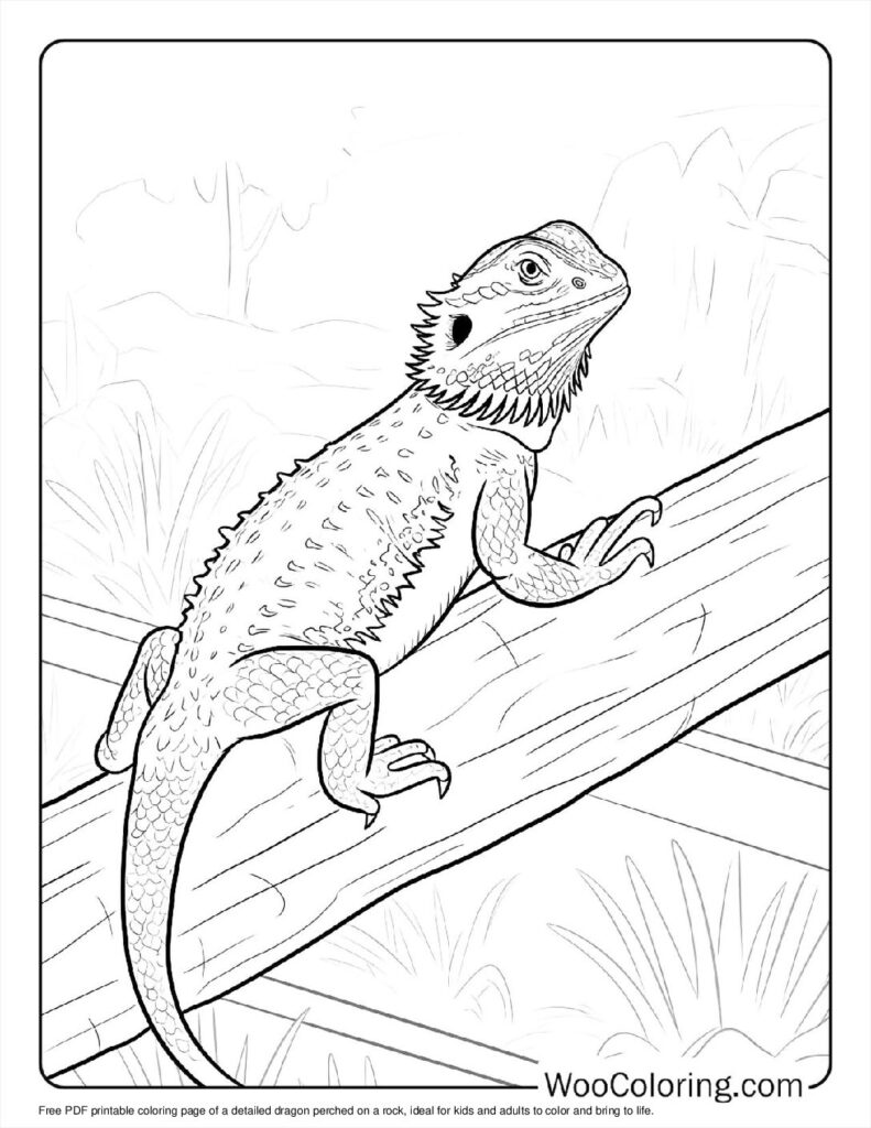 Perched Dragon