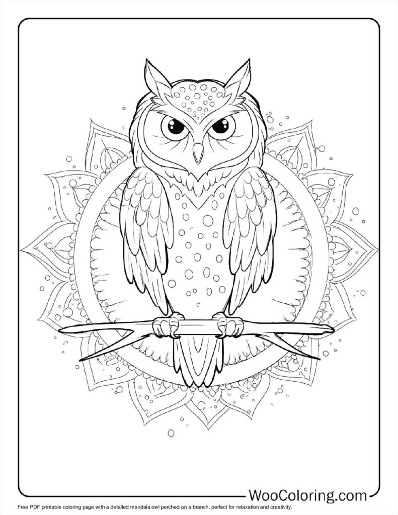 Perched Owl Mandala Coloring Page For Kids