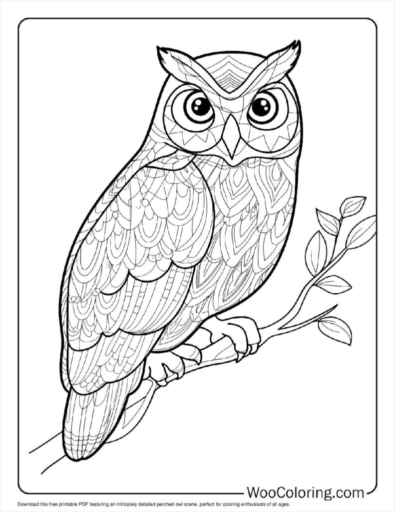 100  Owl coloring pages  Free PDF To Print  - 29
