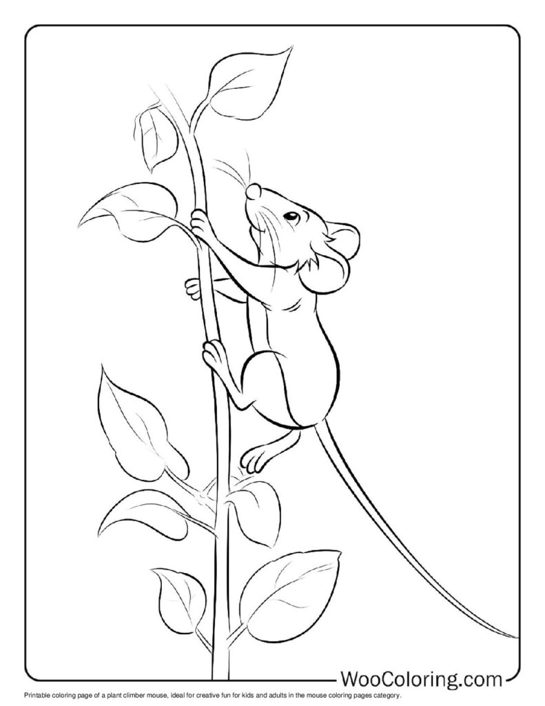 100  Mouse coloring pages  Free PDF To Print  - 78
