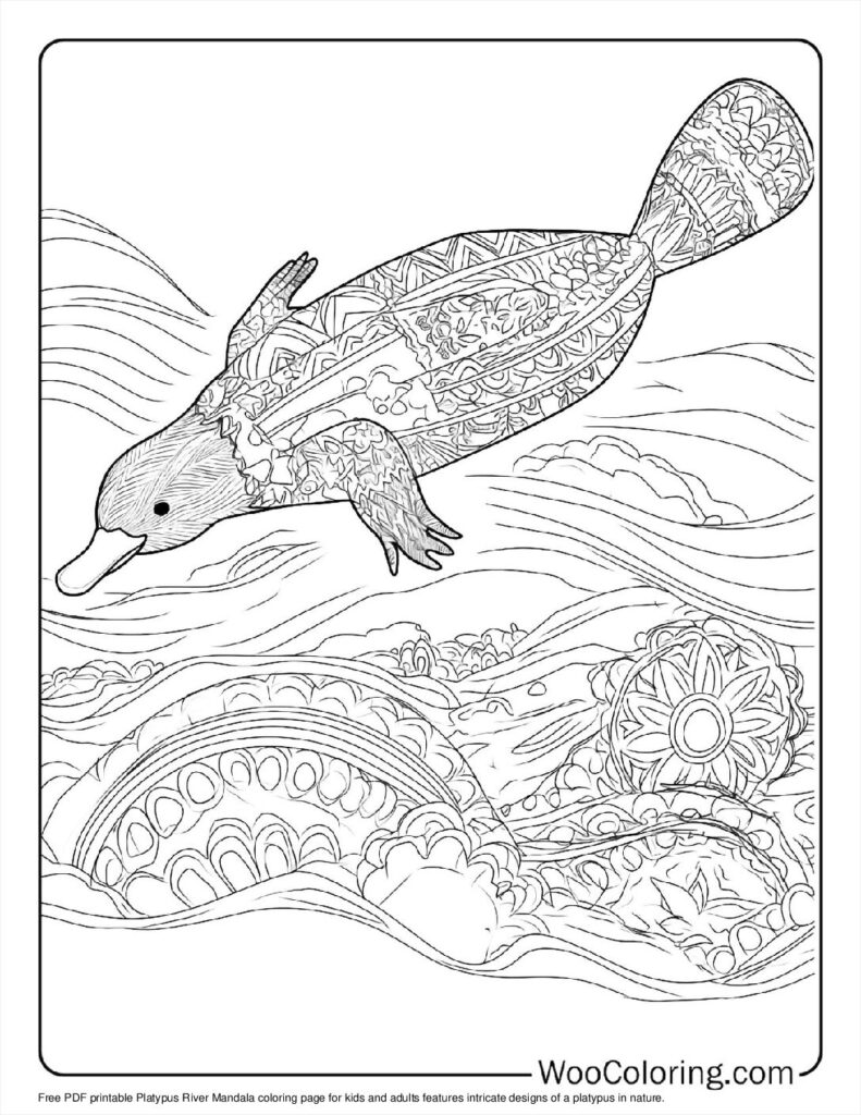 Platypus River Mandala