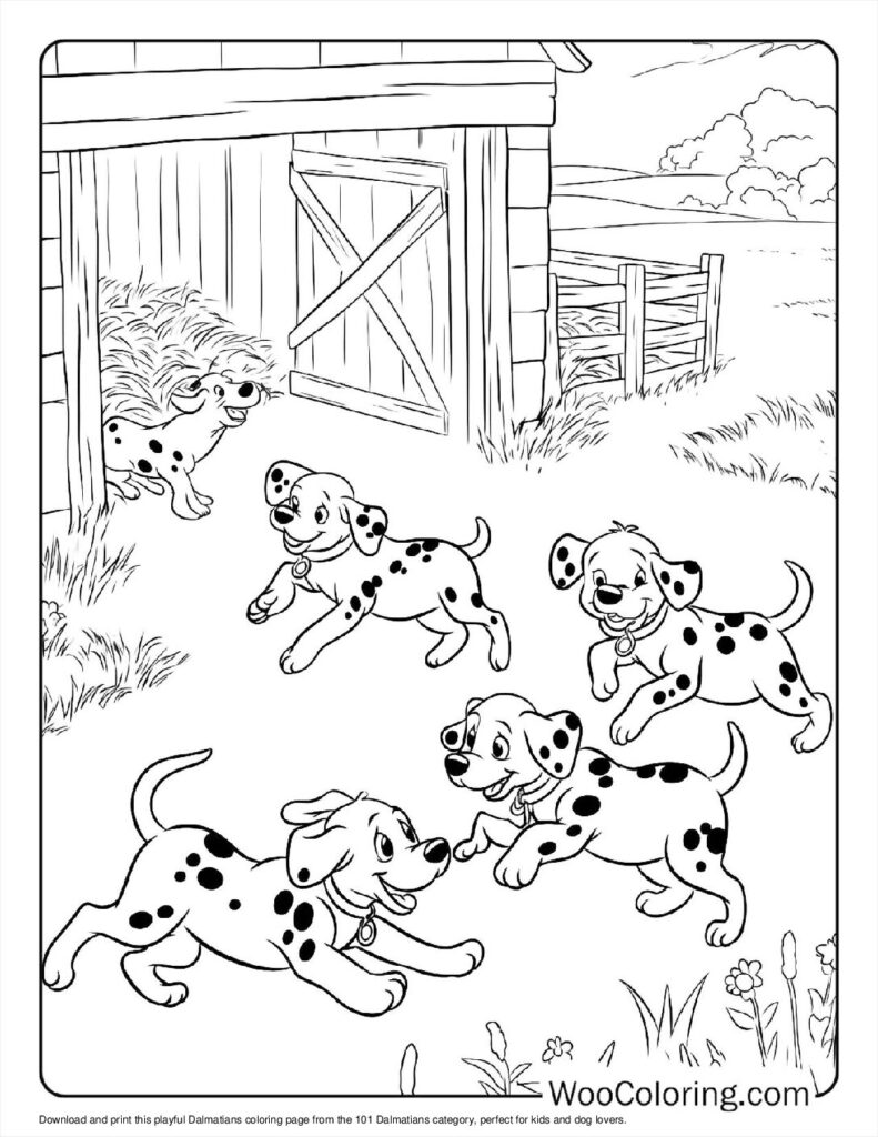 Playful Dalmatians