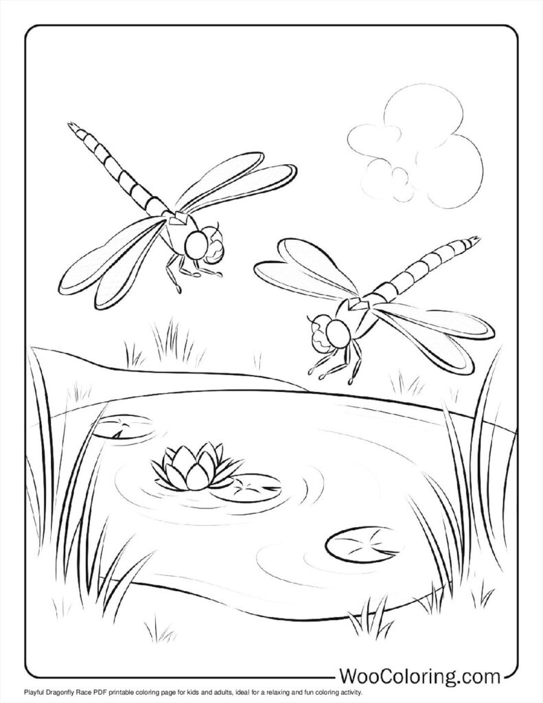 100  Dragonfly coloring pages  Free PDF To Print  - 19