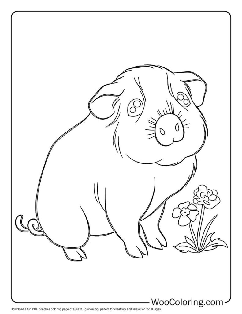 100 Guinea Pig coloring pages Free PDF To Print - 27