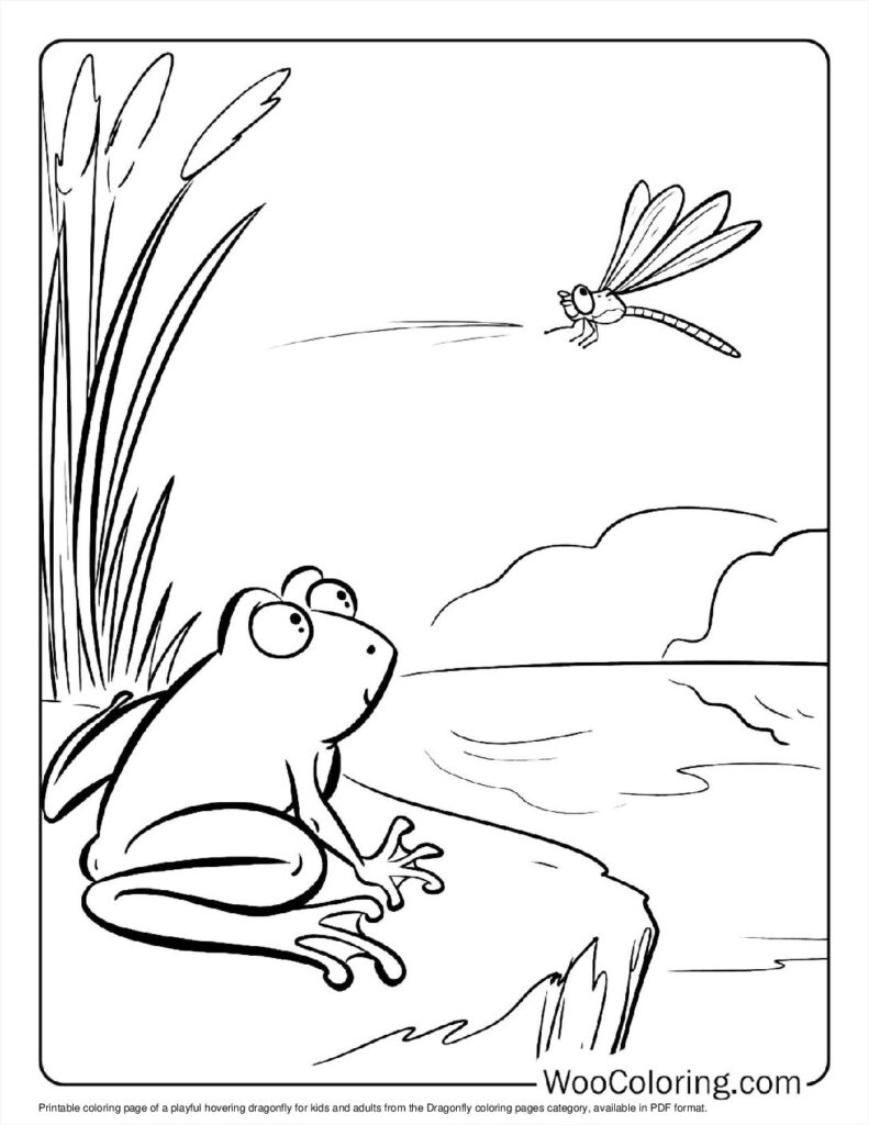 100  Dragonfly coloring pages  Free PDF To Print  - 71