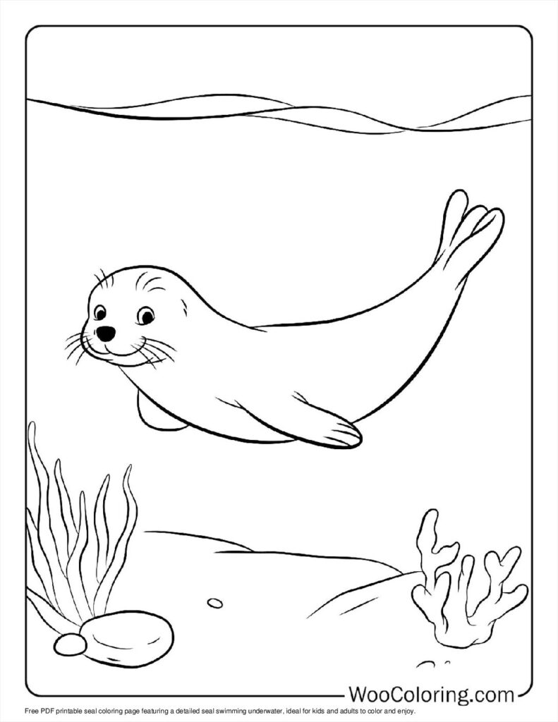 100  Seal coloring pages  Free PDF To Print  - 7
