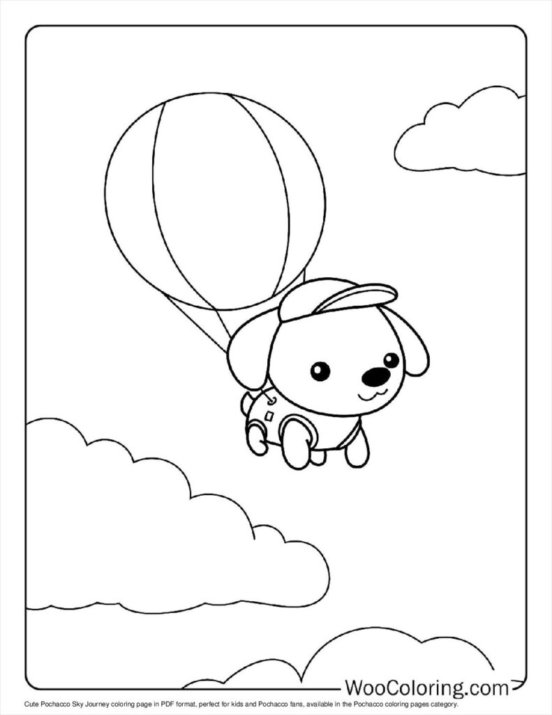 Pochacco Sky Journey